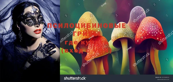 стаф Навашино