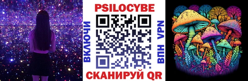 Купить закладки  Тольятти  Галлюциногенные грибы мицелий 